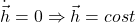  \dot{\vec{h}} = 0 \Rightarrow \vec{h} = cost 